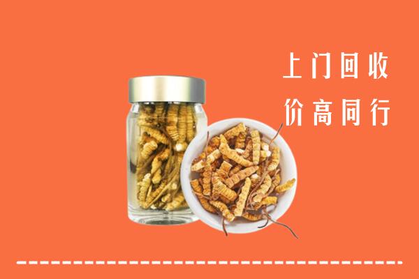 新乡县回收冬虫夏草